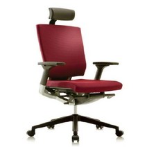 [이펙스] [Sidz] 시디즈 T55 시리즈 T550HLDA 기능성 더블라셀 의자 (헤드레, 상세 설명 참조