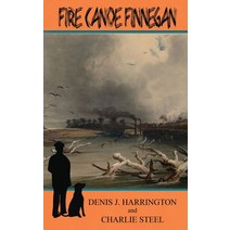 (영문도서) Fire Canoe Finnegan Hardcover, Condor Publishing, Inc., English, 9781931079372