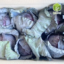 국내산 적양배추 적채 6통 8kg 1box, 단품