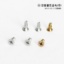 일반 스텐 접시머리 직결나사 피스 봉지판매(13mm ~ 100mm), 1.백도금, FH #8-19