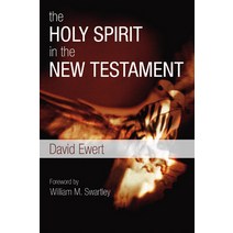 (영문도서) The Holy Spirit in the New Testament Paperback, Wipf & Stock Publishers, English, 9781592449446