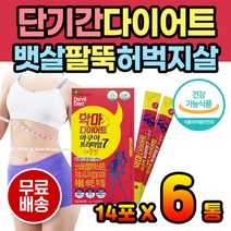 나이아신 가르시니아 다이어트 컷팅제 체지방 감소 뱃살 급찐살 명절다이어트 굶지않는 먹으면서 diet 식약처인증 스틱 탄수화물 관리 씨트러스 히알루론산 비타민C 콜라겐 자일리톨