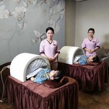 온열 돔 찜질기 치료기 사우나 찜질방 원적외선 이동식 가정용, 브라운