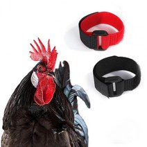 가축 귀태그 축사용품 for Ducks 2Pcs Noise Free Adjustable Rooster Belt Chicken Collar Poultry Supplies Anti C, [01] 빨간