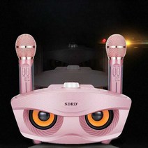 기계 가정용 노래방 이동식 풀 세트 블루투스 스피커, 뉴 블랙 업그레이드 버전