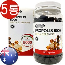 마더네스트 프리미엄 프로폴리스 5000mg 250캡슐 5통 본품+사은품 증정