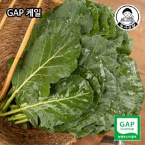 [농사임당] GAP 케일 샐러드 야채 쌈용 즙용 쌈채소 500g/1kg, 500g