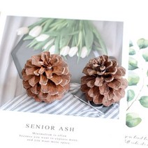 인조잔디 시공 테라스인조잔디 인조잔디매트양초 DIY 재료 계피 롤 말린 꽃 향기 홈 장식 웨딩 솔방울 고, 05 5 CM 2 pieces