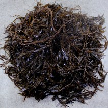 채선 바다의 채소 독특한 식감의 모자반 몰, 1팩, 1kg