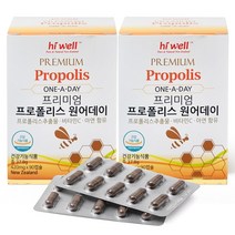 하이웰 프로폴리스 원어데이 90캡슐, 420mg, 2개