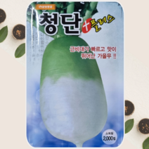 김장무씨앗 청단플러스 가을무 씨앗 2000립, 1봉