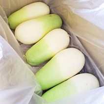 빠리농산 제주무 5kg 겨울무