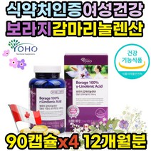 여성 호르몬제 호르몬 영양제 오메가6 감마리놀렌산 pms 보조제 보라지유 감마리놀산 감마리놀레산 추천 콜레스테롤 혈액순환개선제 갱년기 생리전 생리통 생리불순 월경전 증후군