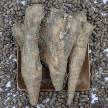 안동마 뮤신가득 모자농원 아삭한 산마 2kg 6시내고향출연, 안동산마 알뜰 2kg