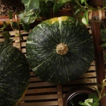JMT 뉴질랜드 청정 햇 단호박, 단호박10kg