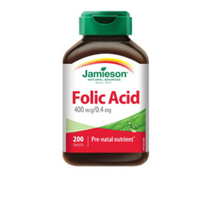 자미에슨 엽산 400mcg 200정, 10개