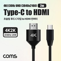 아이패드 에어 4세대 Type-C to HDMI 초슬림 후드 컨버터, 1개, 실버-IF857