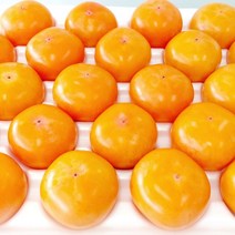 [백삼청도반시] 씨없는 감 고당도 청도반시 5kg 48과 내외 외, 1개, 5kg(48과 내외(46-50과))