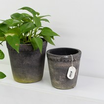 베트남 토분 블랙 가리팟, 19호, 화분+받침세트