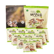 일품채 모둠 한끼 국산 새송이 건표고 느타리 양송이 건버섯 개별포장 10g x 10