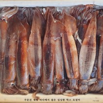 2022년 6월 첫 수확 주문진 산지 직송 오늘 잡은 싱싱한 생물(급냉) 오징어 5-7미1kg, 5미