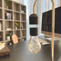 로라랜드 자기부상무드등 스탠드조명 승진선물 책상스탠드조명 단스탠드 데스크테리어 책상스텐드, 본품만구매(출시이벤트30%할인), 실버/우드