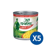 그린자이언트 니블렛 스위트콘, 340g, 5개