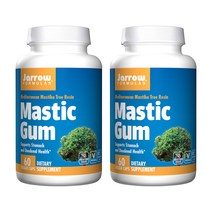 Jarrow Formulas 자로우 매스틱 검 1000mg 60정 [2병], 2병, 상품명참조