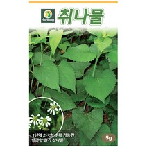 다농 산천 왕까마중 50립 - 씨 씨앗 까마중씨앗 까마중씨 강태 깜두라지 용규 나물씨앗 민속채소 채소씨 채소씨앗, 11_다농_취나물(5g)