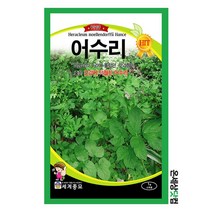 어수리 1g / 어수리씨앗 토속나물씨앗 주말농장 베란다텃밭 약초 씨앗, 1개