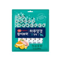 밥이보약 도그 하루양갱 간식 면역 28p, 닭고기, 2개
