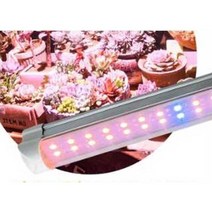 다육이생장등 식물성장등 LED 반려식물 화초 실내재배, 0.6m - 22w