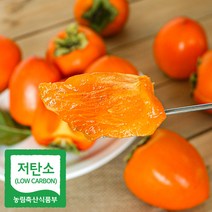 저탄소인증 달콤한 꿀맛 전라도 햇대봉감 10kg(25~37과)~~SALE!!
