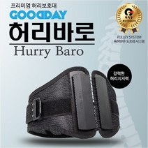 허리바로 허리보호대 허리복대 허리교정, 1개