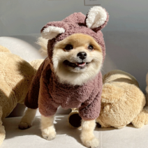 [퍼피엔젤강아지옷후리스] 데댕 귀여운 곰돌이 모자 후리스 올인원 강아지옷, 브라운