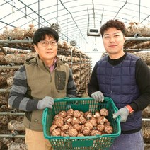 무농약 생 표고버섯 1kg / 건 표고버섯 100g, 중품 1kg