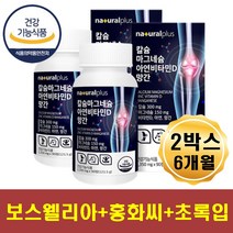 중년 눈밑떨림 마그네슘 아연 칼슘 망간 근육떨림 뼈건강식품 손가락 발바닥 저림 손목 발목 어깨 허리 무릎 뼈 치아 골다공증에좋은 영양제 상어연골 초록잎홍합분말 홍화씨