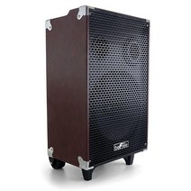 BeFree Sound 25.4cm(10인치) 500와트 블루투스 휴대용 스피커 USB SD 마이크 FM 라디오 포함 351032, Brown