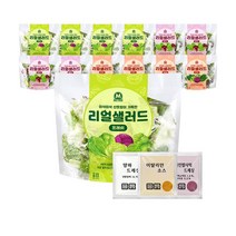 미트리 리얼 샐러드 3종 혼합, 70g, 3종 혼합 12팩(각4팩)