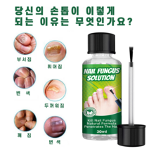 손발톱 케어 제 네일 리페어 전용, 3개, 30ml