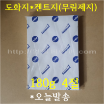[ 학교납품전문 ] 켄트지 180g 4절 100매 / 전문가용 무림도화지