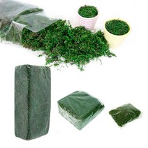 청이끼 800g 화분장식 각종인테리어 원예부자재 조화, 청이끼 중포장(400g) 1개