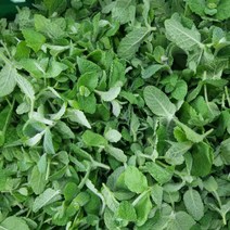 안산팜 애플민트 생잎 500g 1kg 데코 모히토 겸용, 50g, 1개