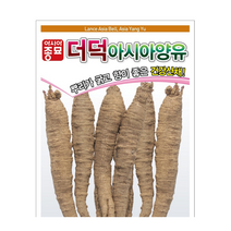 아시아종묘 더덕씨앗 더덕 종자 더덕 (3g), 3개