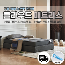 클라우드 메모리폼 롤팩 매트리스 집앞으로 택배발송 초간편 설치 고밀도 꿀잠예약