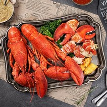 푸릇푸릇 활 랍스터 랍스타 바닷가재 버터구이 요리 용 lobster 캐나다 자숙랍스터 랍스터테일 500g 1kg, 활 랍스터 700g 1마리