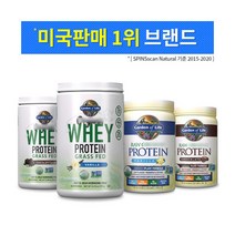 가든오브라이프 식물성단백질 유청 웨이프로틴 식사대용 헬스보충제, 슬림라인 Fit 프로틴-오리지널445g