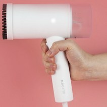 보떼 핸디형 스팀다리미(DW-B505SI)