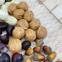 [왓위셀] 가을 견과류 인테리어 매장 카페 소꿉놀이 소품, 03도토리(10알)(소)