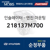 인슐레이터-엔진 마운팅 브라켓 (218137M700) 트라고 엑시언트 특장 6X2 현대모비스 부품몰
